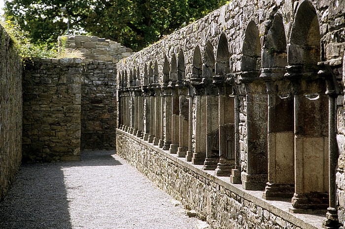 Jerpoint Abbey (Zisterzienserabtei Jerpoint): Kreuzgang Thomastown