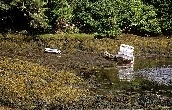 Iveragh Peninsula Blick von Blackwater Bridge: Kenmare Bay (Kenmare River)