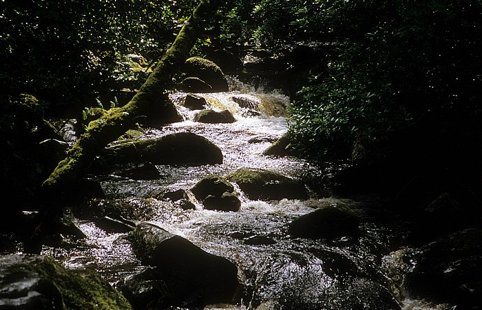Killarney National Park Unterhalb des Torc-Wasserfalls.