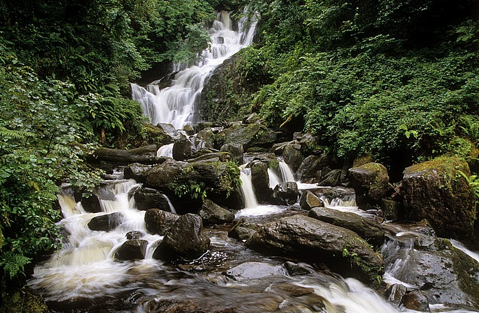 Killarney National Park Torc-Wasserfall