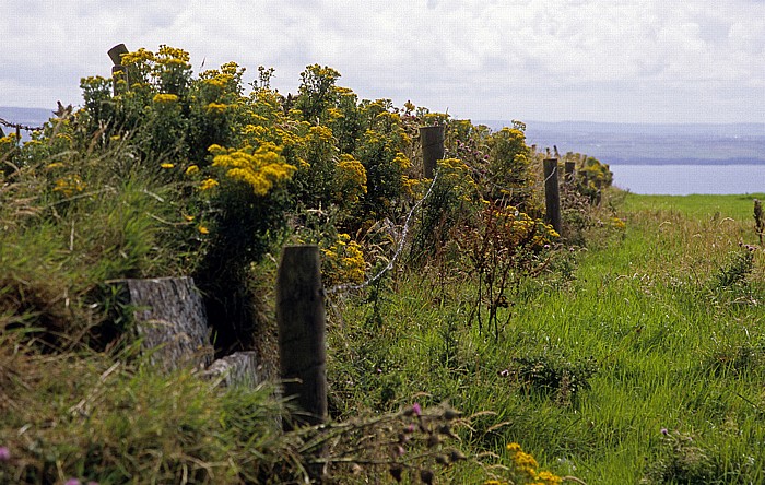 Cliffs of Moher