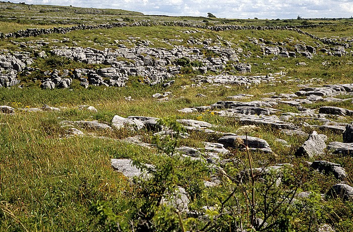 Burren National Park The Burren