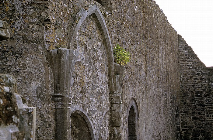 Clonmacnoise Klosterruine: Kathedrale