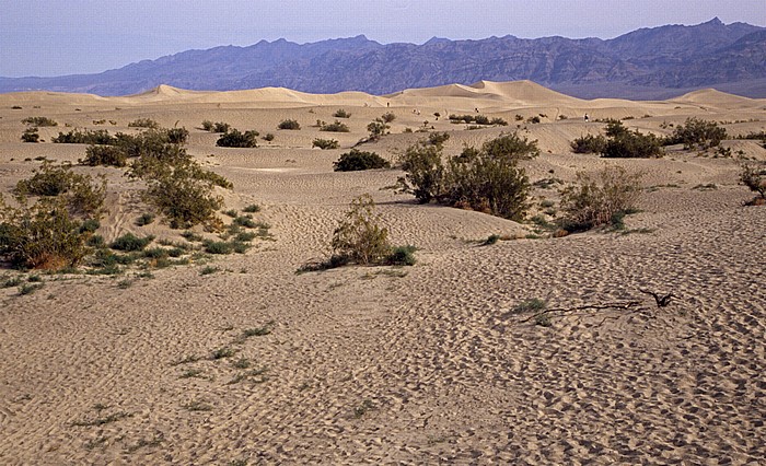 Death Valley: Dünen in der Nähe von Stovepipe Wells Death Valley National Park