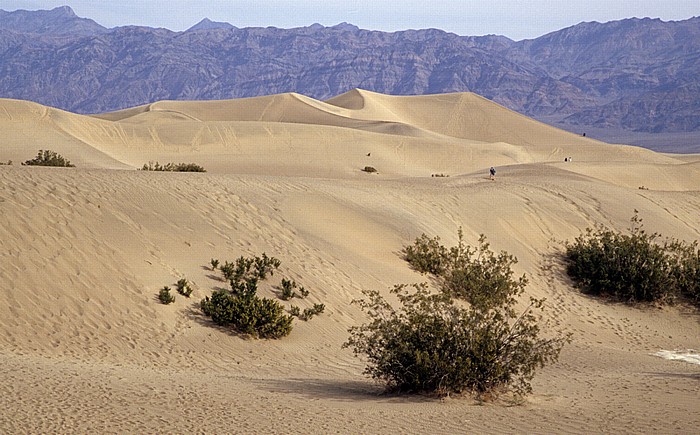Death Valley: Dünen in der Nähe von Stovepipe Wells Death Valley National Park