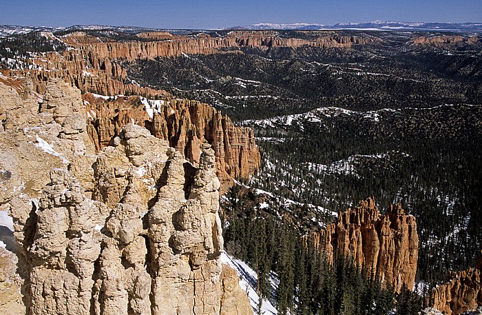 Blick vom Rainbow Point Bryce Canyon National Park