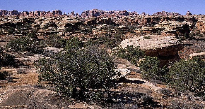 Canyonlands National Park The Needles
