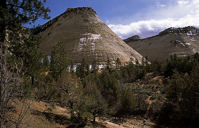 Zion National Park Checkerboard Mesa