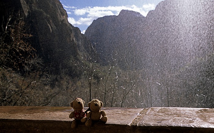 Zion National Park Wasserfall: Teddine und Teddy