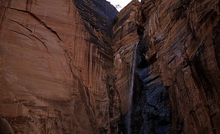 Zion National Park Wasserfall