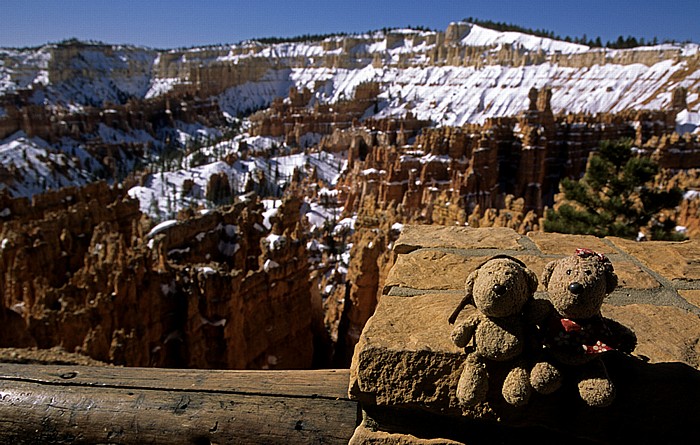 Bryce Canyon National Park Sunset Point: Teddy und Teddine Bryce Amphitheater