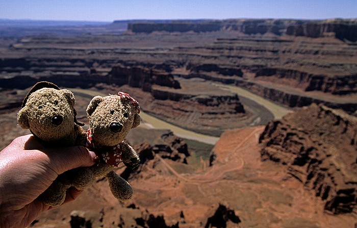 Dead Horse Point State Park Dead Horse Point Overlook: Teddy und Teddine Goose Neck Meander Canyon