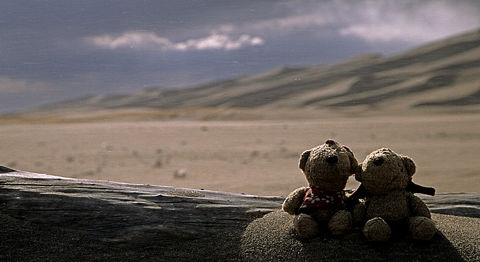 Great Sand Dunes National Park Great Sand Dunes: Teddine und Teddy