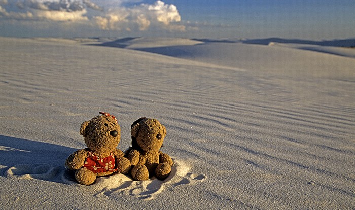 White Sands National Monument Sanddünen: Teddine und Teddy