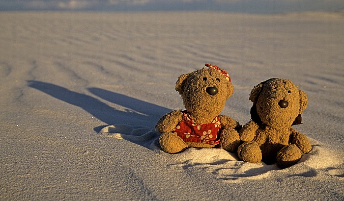 White Sands National Monument Sanddünen: Teddine und Teddy
