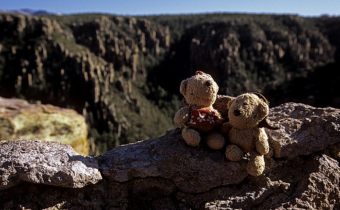 Chiricahua National Monument Teddine und Teddy