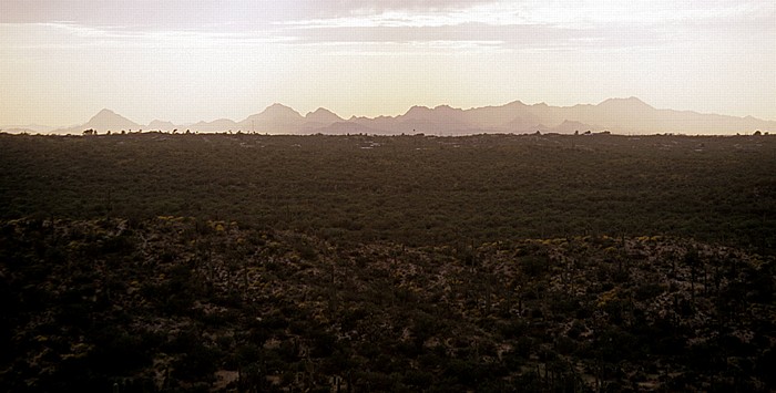 Saguaro National Park Rincon Mountain District