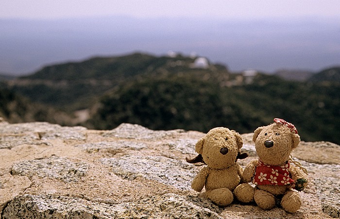 Kitt Peak National Observatory (KPNO): Teddy und Teddine