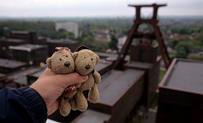 Essen Zeche Zollverein: Dach der Kohlenwäsche: Teddine und Teddy Schacht 12