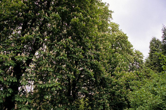 Essen Park der Villa Hügel