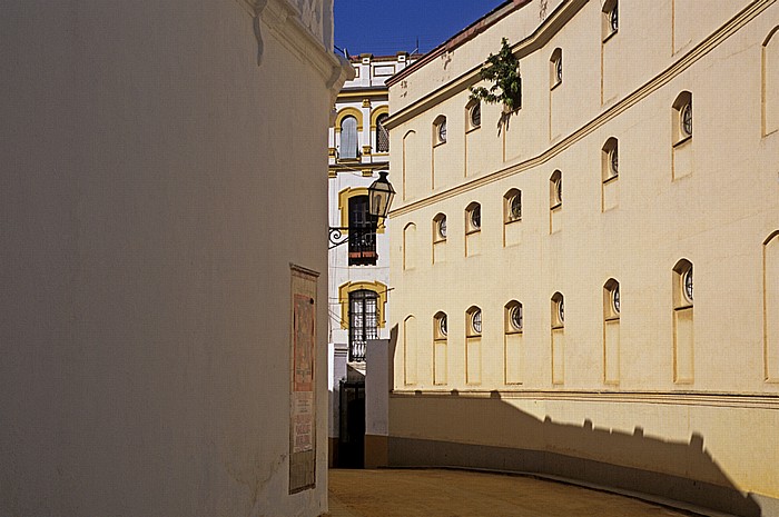Sevilla Barrio del Arenal: Stierkampfarena (Plaza de Toros de la Real Maestranza de Caballería)