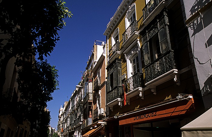 Sevilla Barrio del Arenal