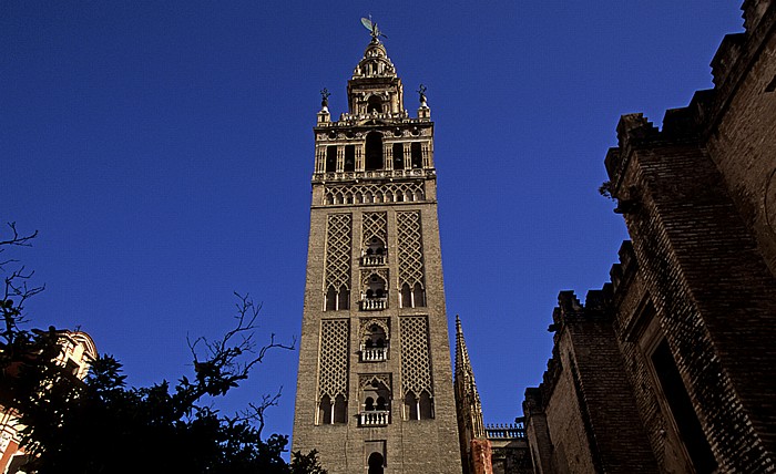 Centro: Kathedrale (Santa María de la Sede): Giralda Sevilla 2010