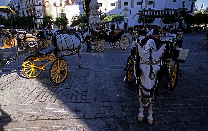 Centro: Plaza Virgen de los Reyes Sevilla