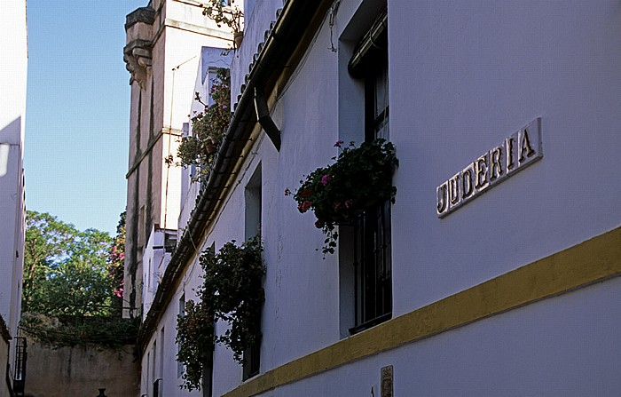 Barrio Santa Cruz: Judería de Sevilla