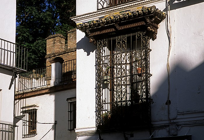 Barrio Santa Cruz Sevilla