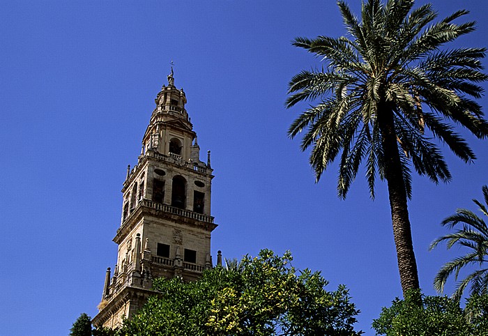 Córdoba Mezquita Catedral: Glockenturm