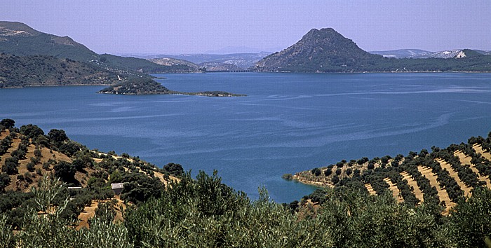 Provincia de Córdoba Olivenplantagen am Embalse de Iznájar