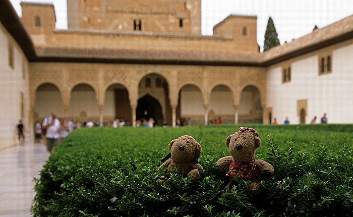 Granada Alhambra: Palacios Nazaríes: Patio de los Arrayanes (Myrtenhof): Teddy und Teddine