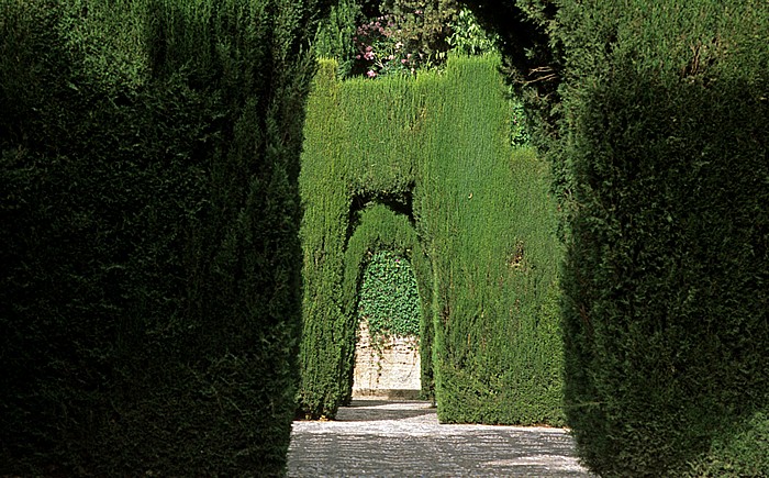 Granada Generalife: Neue Gartenanlage