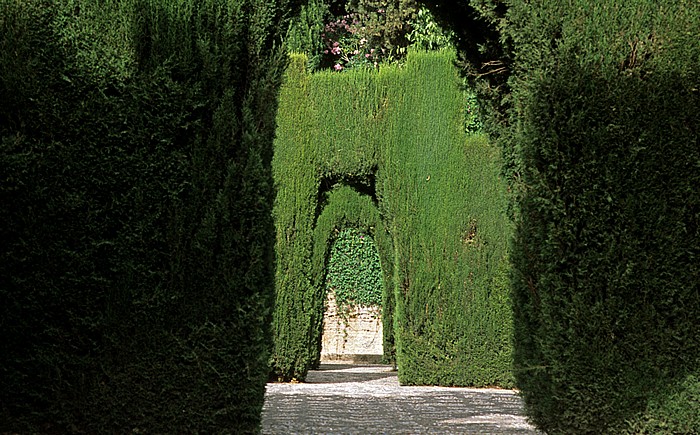 Generalife: Neue Gartenanlage Granada