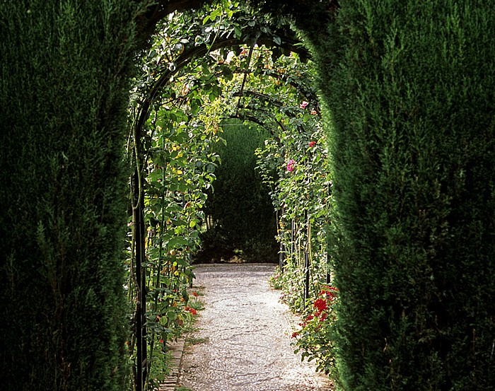 Granada Generalife: Neue Gartenanlage