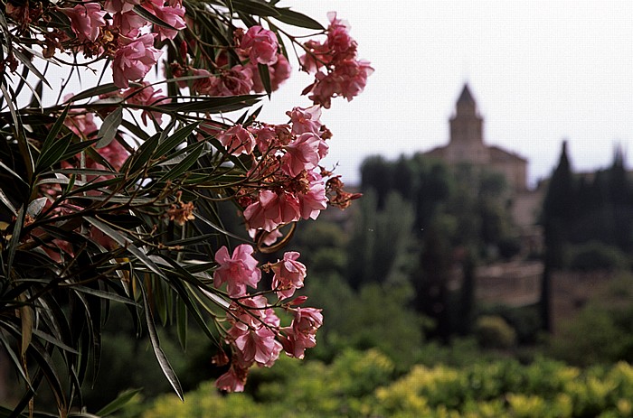 Generalife Granada