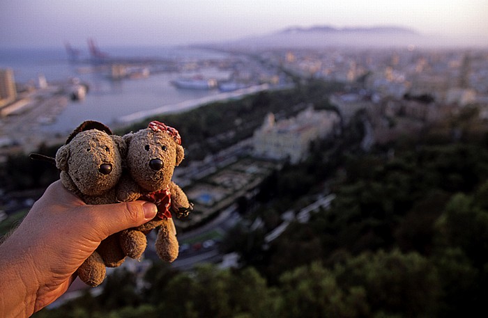 Málaga Monte Gibralfaro: Teddy und Teddine