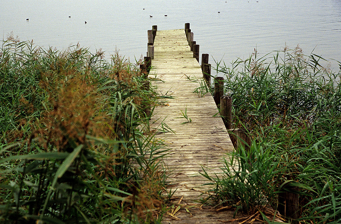 Chiemsee: Alter Steg Gstadt am Chiemsee