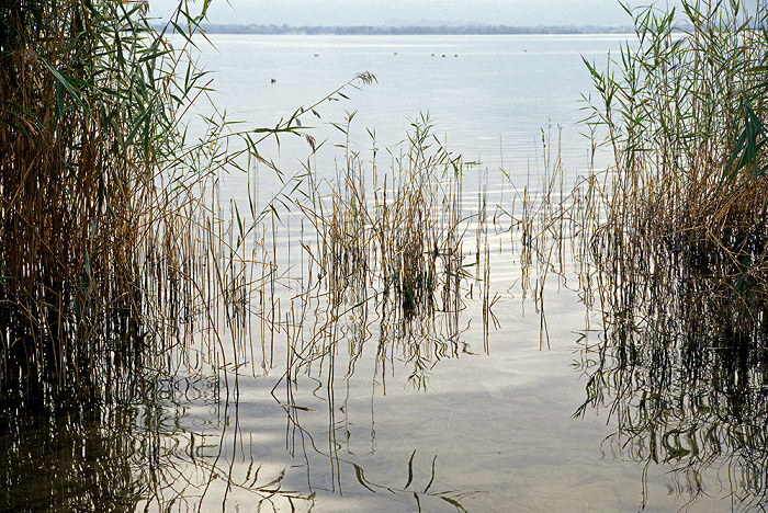 Chiemsee Fraueninsel