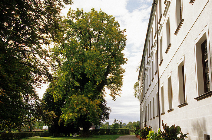 Augustiner-Chorherrenstift Herreninsel