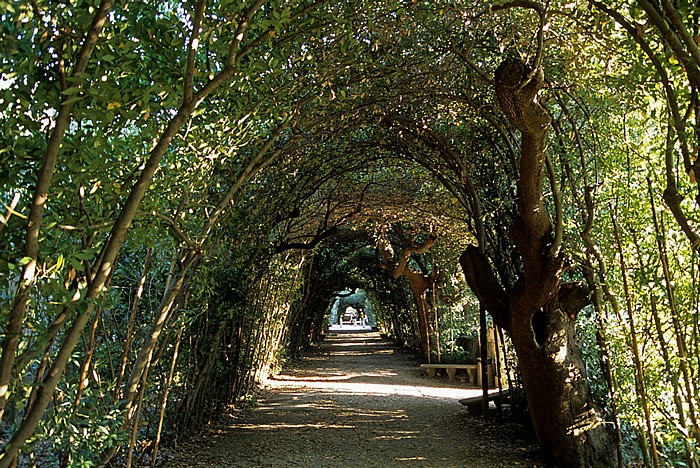 Florenz Boboli-Garten (Giardino di Boboli)