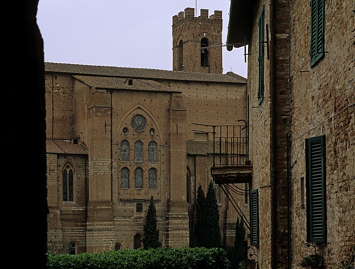Siena Contrada de la Selva Basilica di San Domenico