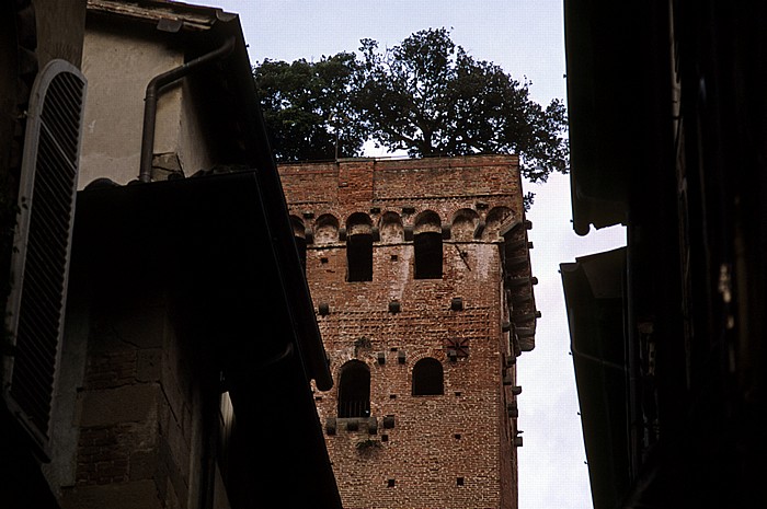 Lucca Via Sant' Andrea, Torre Guinigi Via Sant'Andrea