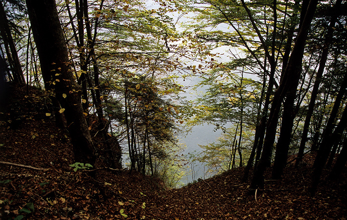 Kochelsee