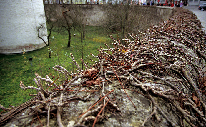 Neues Schloss: Festungsmauer und -graben Ingolstadt