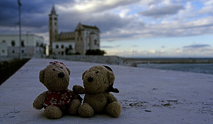 Hafen (Marina Trani): Teddine und Teddy Cattedrale di San Nicola Pellegrino