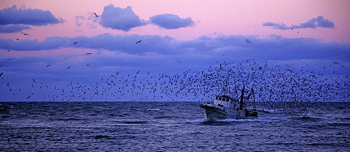 Trani Adria: Zurückkehrendes Fischerboot