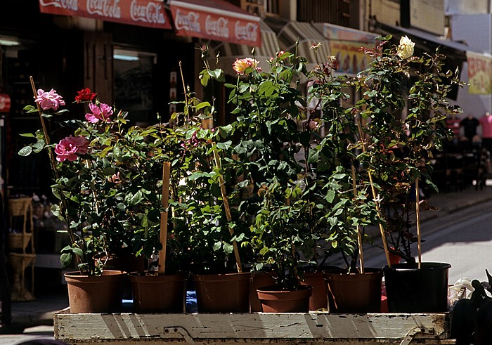 Türkische Altstadt: Blumenstand Nikosia