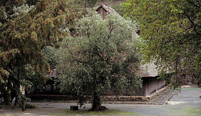 Troodos-Gebirge: Scheunenkirche Panagia Arakiotissa Lagoudera